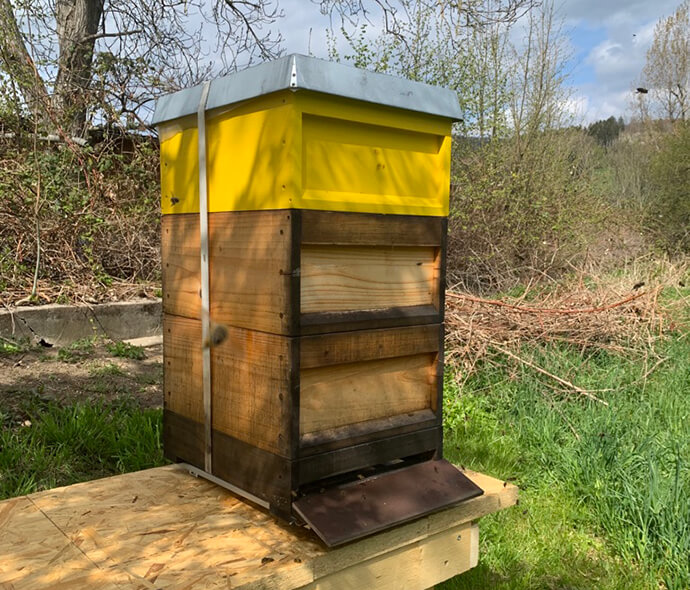 This wooden beehive is one of several located in the meadow behind the building where IT-Kompass is located.