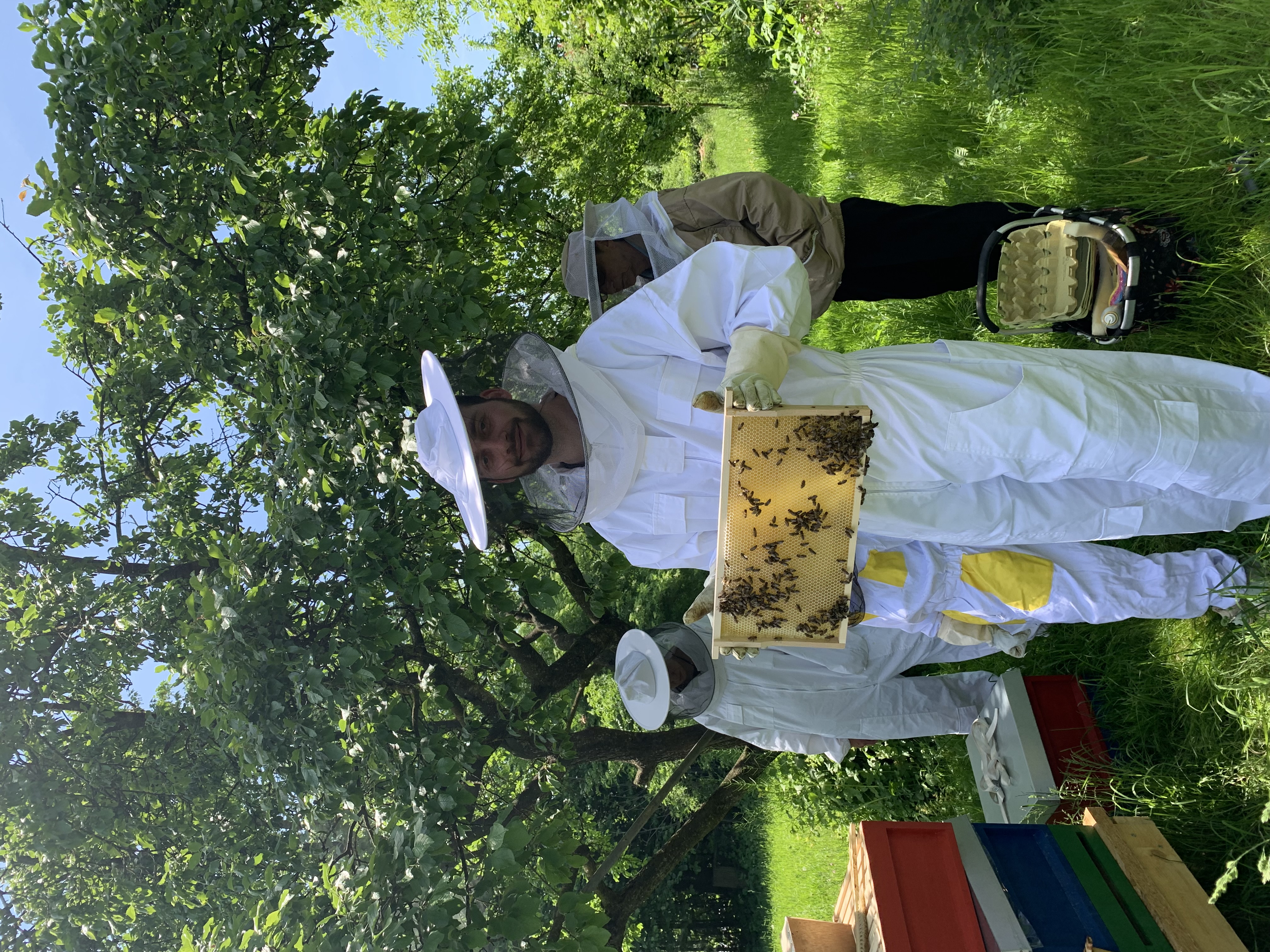 Ein Imker von IT-Kompass präsentiert lächelnd eine mit Bienen besetzte Wabe
