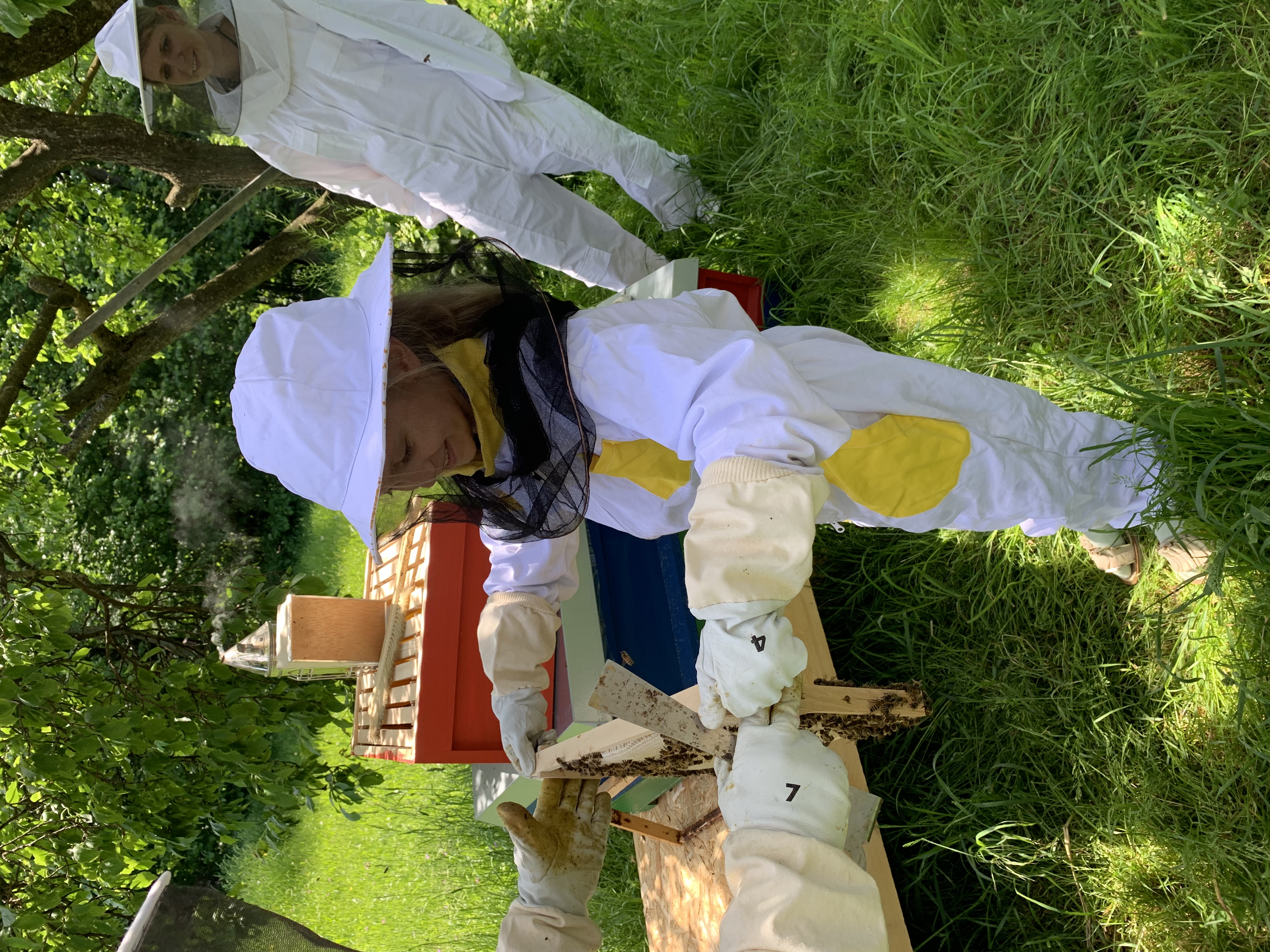 Ein Kind im Imkeranzug zieht unter Anleitung eine Wabe aus dem Bienenstock
